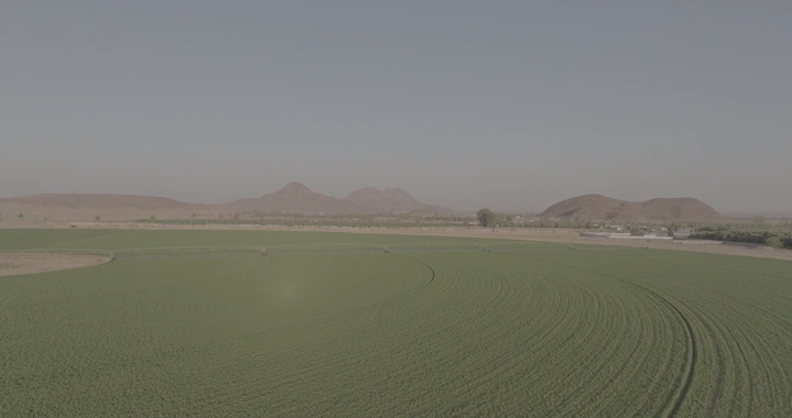 مزرعة خضراء مع نظام رشاش في الصحراء، لقطة جوية.