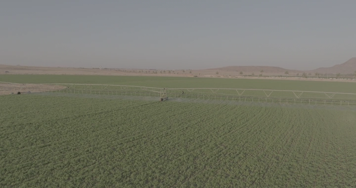 مزرعة خضراء واسعة مع رشاش مياه، لقطة جوية.