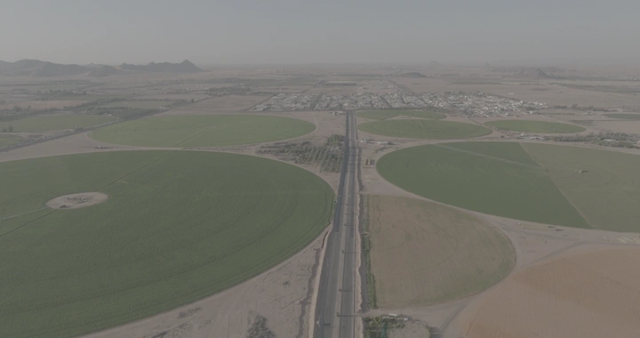 حقول زراعية دائرية في الصحراء، لقطة جوية.