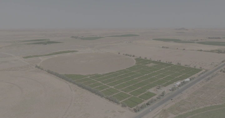 مزرعة خضراء في منطقة صحراوية، لقطة جوية.