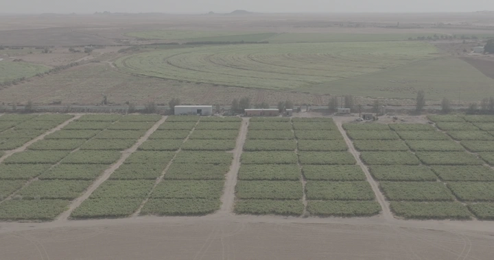 حقول زراعية واسعة في يوم غائم، لقطة جوية.