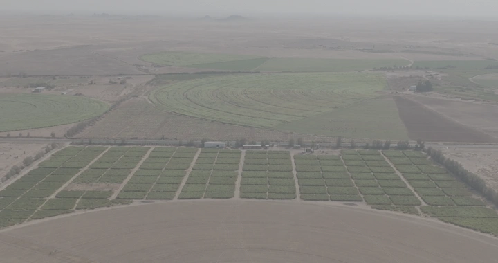 مزرعة واسعة في الصحراء، لقطة جوية نهارية.