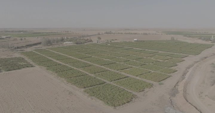 مزرعة واسعة في منطقة صحراوية، لقطة جوية.