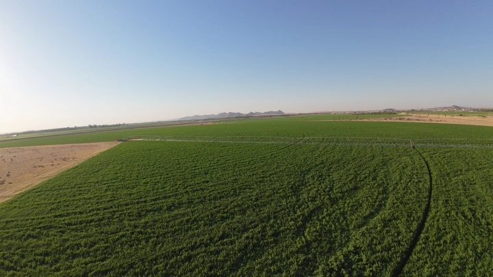 مزرعة خضراء واسعة في الصحراء، لقطة جوية.