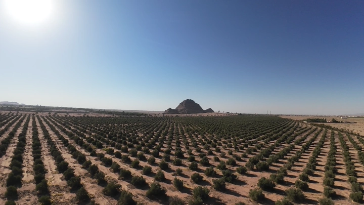 مزرعة واسعة في الصحراء مع جبل في الخلفية، لقطة جوية.