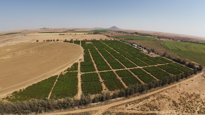 مزرعة واسعة في منطقة صحراوية، لقطة جوية.
