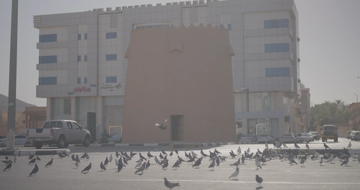 حمام يطير أمام مبنى في المدينة، لقطة نهارية.