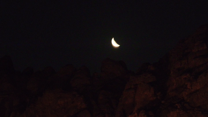 هلال في سماء ليلية فوق الأشجار، تصوير ليلي.