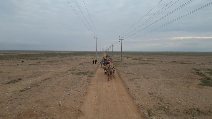 قافلة جمال تسير في صحراء واسعة تحت سماء غائمة، لقطة جوية.