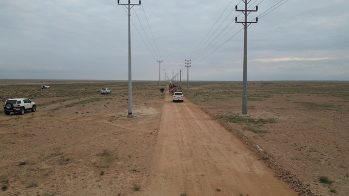 طريق صحراوي مع سيارات وجمال، لقطة جوية.