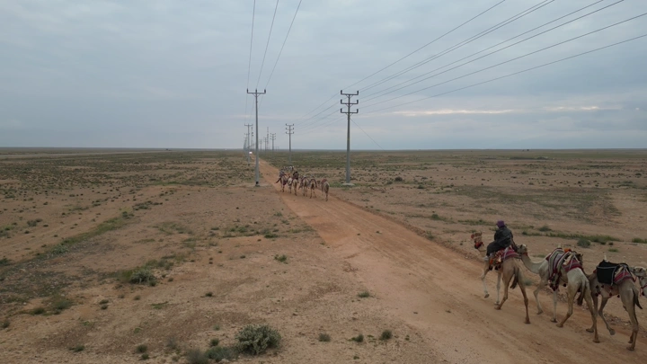 جمال تسير في صحراء واسعة تحت سماء غائمة، لقطة جوية.
