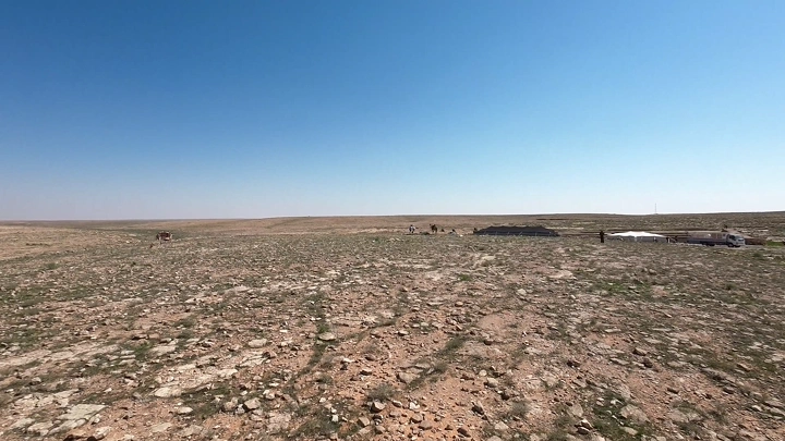 صحراء شاسعة مع خيام وجمال في الأفق، لقطة جوية.