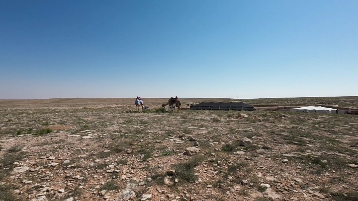 صحراء مع خيام وجمال تحت سماء زرقاء، لقطة بانورامية.