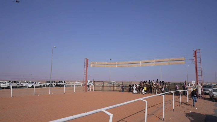 سباق هجن في الصحراء مع سيارات مرافقة، لقطة واسعة.