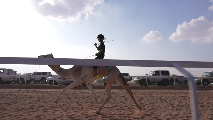 سباق هجن في الصحراء نهارًا، لقطة جانبية.