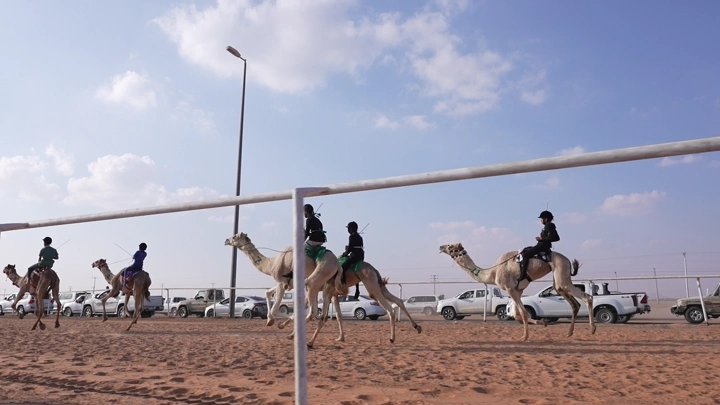 سباق هجن في الصحراء تحت سماء زرقاء، لقطة واسعة.