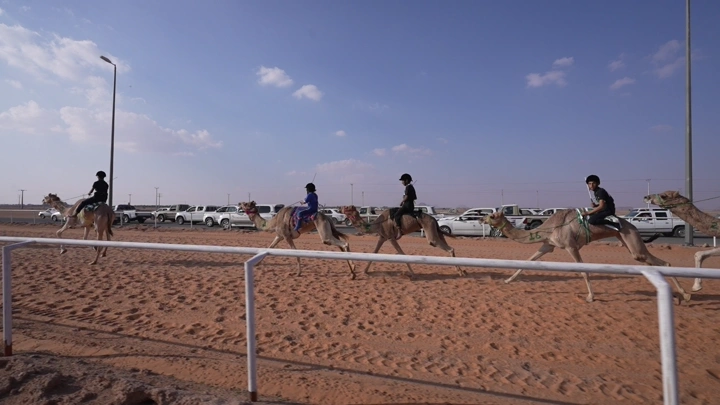 سباق هجن في الصحراء نهارًا، لقطة واسعة.