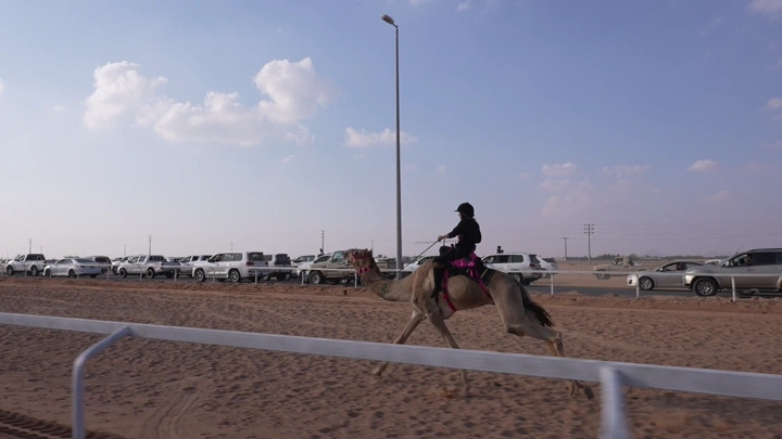 سباق هجن في الصحراء نهارًا، لقطة جانبية.