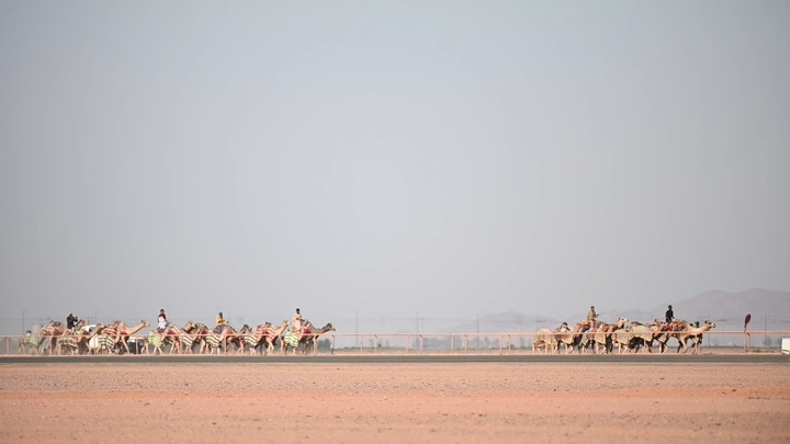 سباق جمال في الصحراء، لقطة بعيدة.