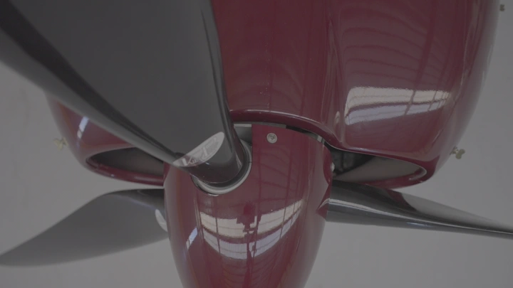 طائرة خاصة داخل مستودع طائرات، لقطة من الأمام.