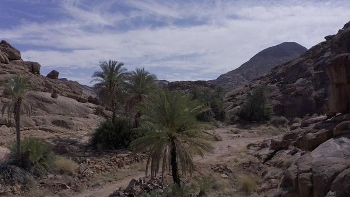 منظر جبلي في حائل مع نخيل، لقطة درون.