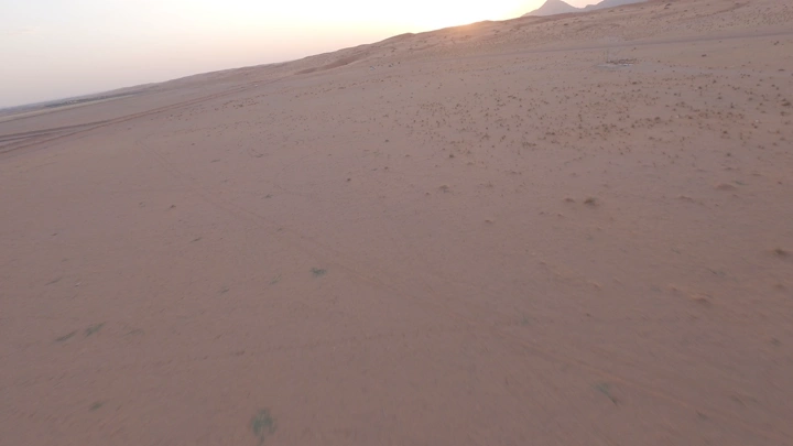 خيول تجري في صحراء شاسعة عند الغروب، لقطة جوية.