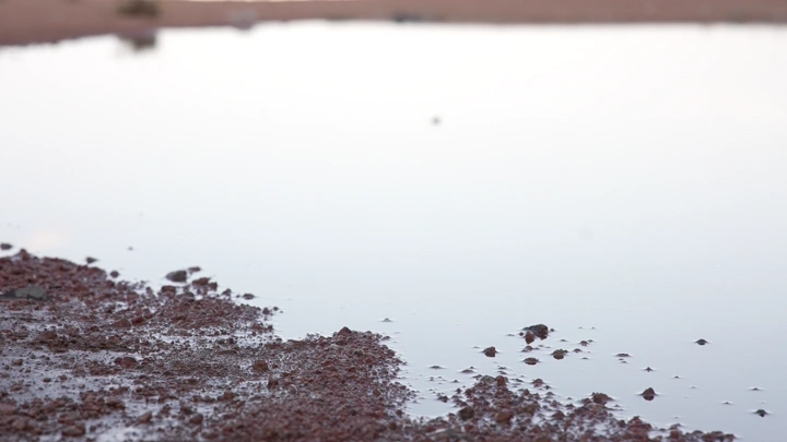 بركة ماء صغيرة على أرض طينية مع مرور دراجة، لقطة قريبة.