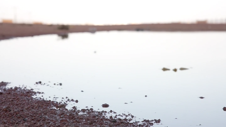 بركة ماء صغيرة تمر دراجة عليها، لقطة قريبة.