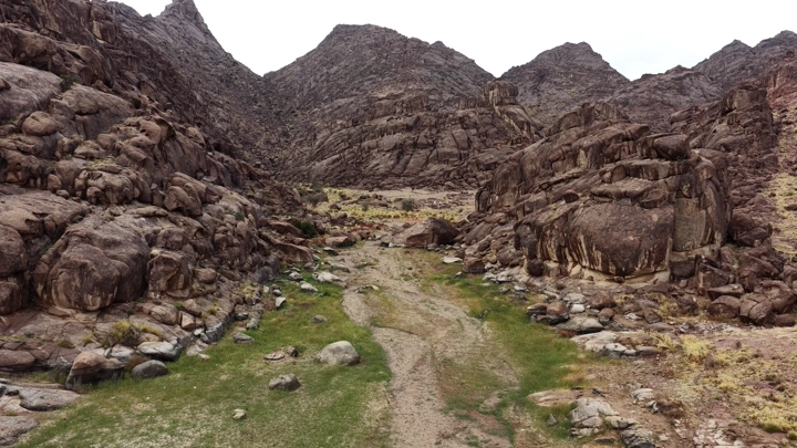 واحة خضراء بين جبال أجا في حائل، لقطة جوية.