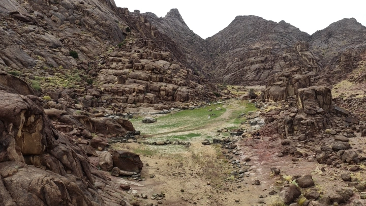 واحة خضراء بين جبال أجا في حائل، لقطة جوية.