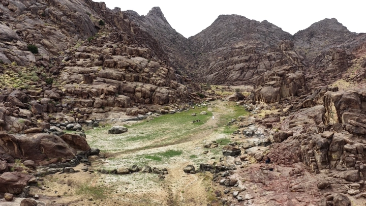 واحة خضراء بين جبال أجا في حائل، لقطة جوية.