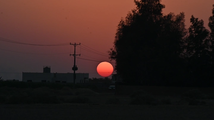غروب الشمس خلف الأشجار والمباني، منظر طبيعي هادئ.