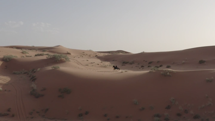 فارس على حصان في صحراء النفود، لقطة جوية.