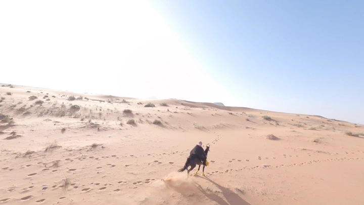 فارس يركب حصانًا في صحراء النفود، لقطة جوية.