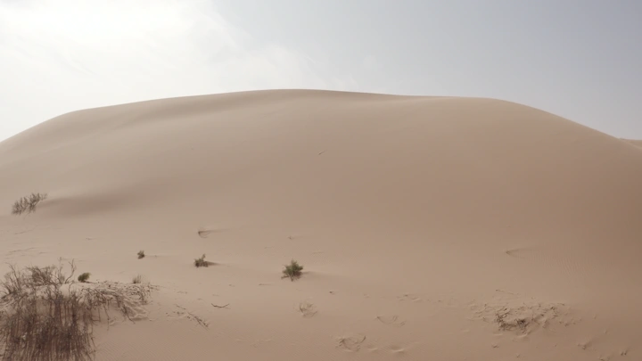 كثبان رملية في الصحراء تحت سماء صافية، لقطة أرضية.