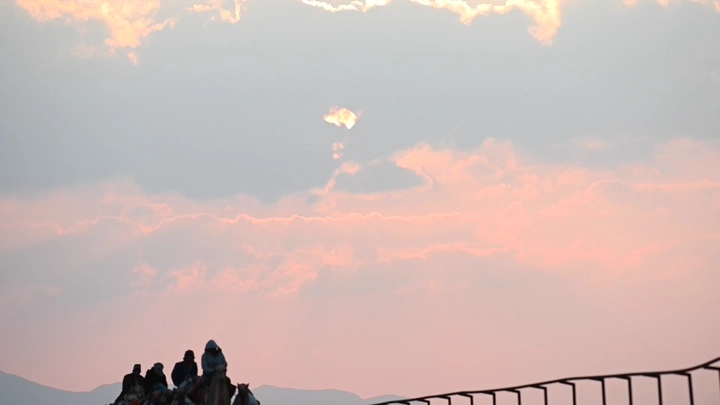 جمال تسير في الصحراء عند الغروب، لقطة من الأمام.