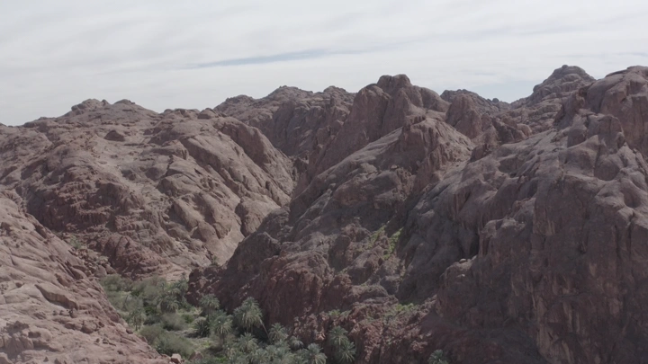 نخيل وسط جبال حائل، لقطة جوية.