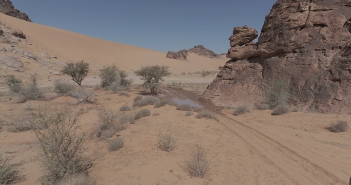 صحراء شعيب مع كثبان رملية وصخور، لقطة جوية.