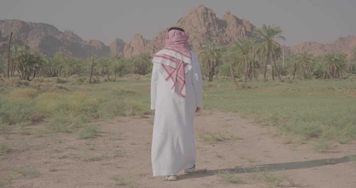 رجل يمشي في واحة نخيل أمام جبال عقدة، لقطة خلفية.