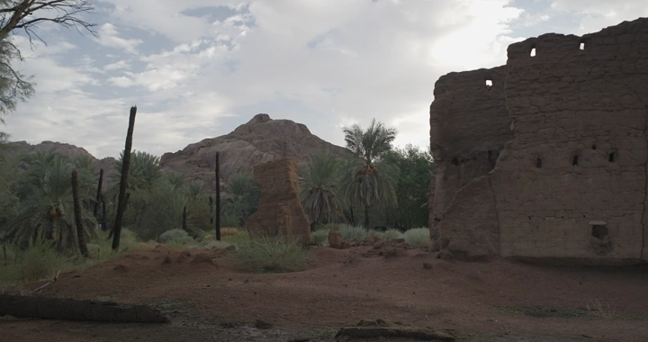 بيت طين ونخل في واحة جبلية، لقطة أرضية.