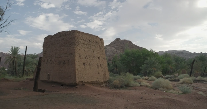 بيت طين قديم ونخيل في واحة صحراوية، لقطة نهارية.
