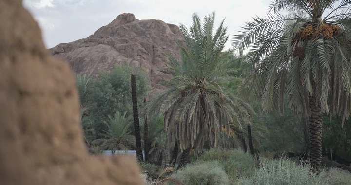 نخيل وجبال مع بيت طين في المقدمة، لقطة طبيعية.