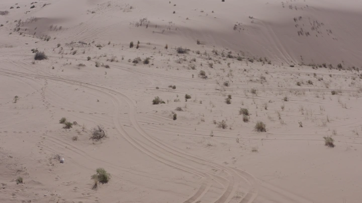 صحراء مع آثار إطارات ونباتات متناثرة، لقطة جوية.