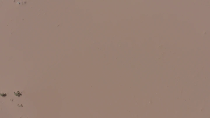 صحراء رملية واسعة مع شجيرات متناثرة، منظر جوي.