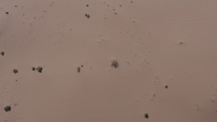 صحراء بنباتات متناثرة في النهار، لقطة جوية.