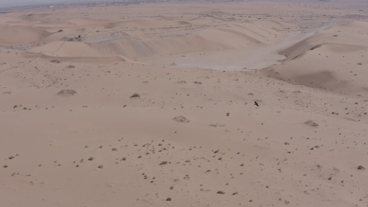 صحراء النفود الواسعة تحت السماء الصافية، لقطة جوية.