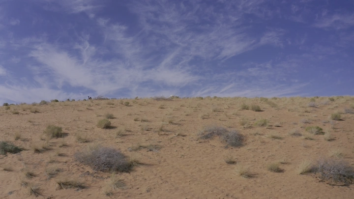 صحراء رملية تحت سماء زرقاء مع سحب، لقطة واسعة.