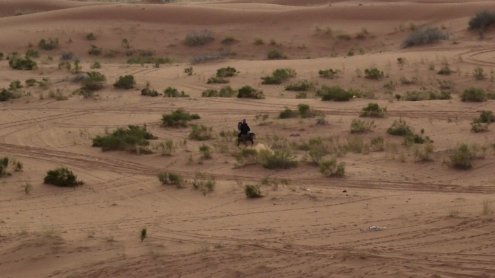 فارس يمتطي حصانًا في صحراء النفود، لقطة جوية.