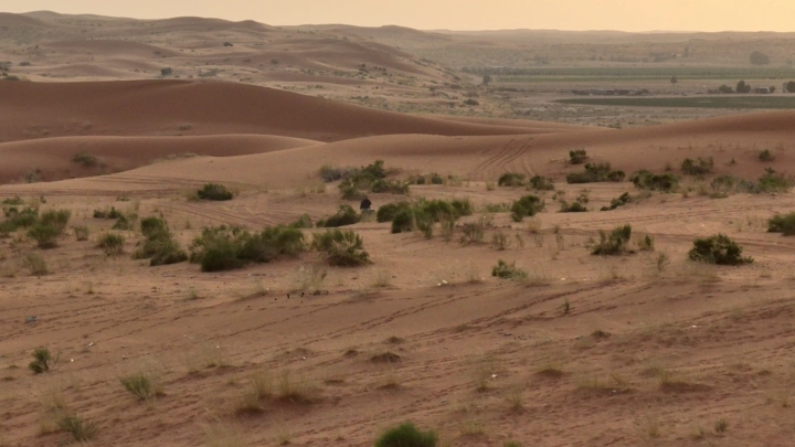 فارس يمتطي حصانًا في صحراء النفود، لقطة جوية.