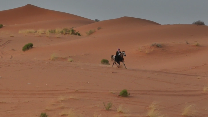 فارس يمتطي حصانًا في صحراء النفود، لقطة جوية.